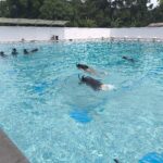 IMG_20241013_101256