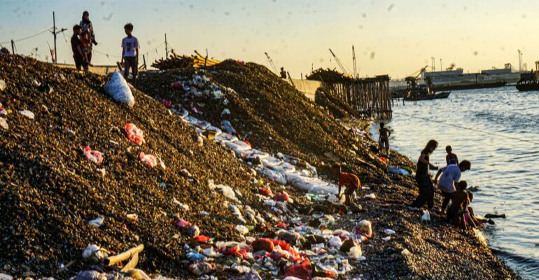 guru-besar-ipb-university-timbunan-limbah-kerang-hijau-ancam-ekosistem-pesisir-cilincing-770x400